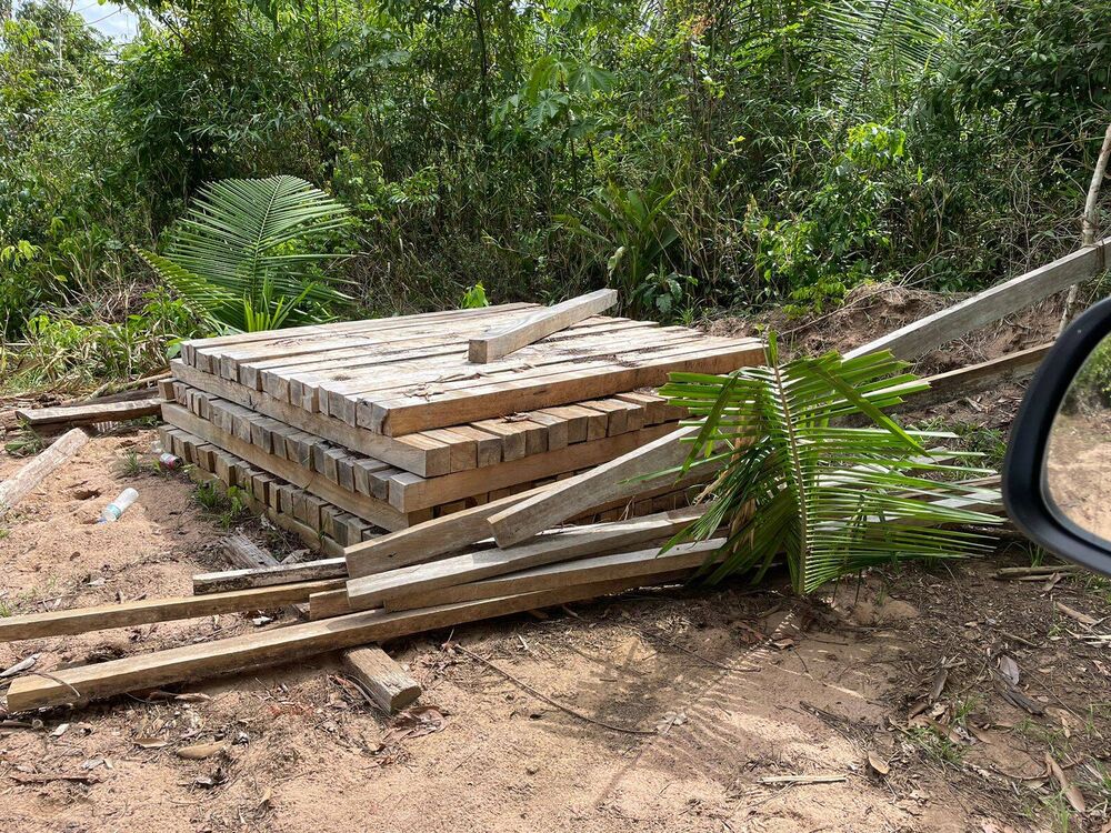 Terreno, 6000 m² - Foto 5