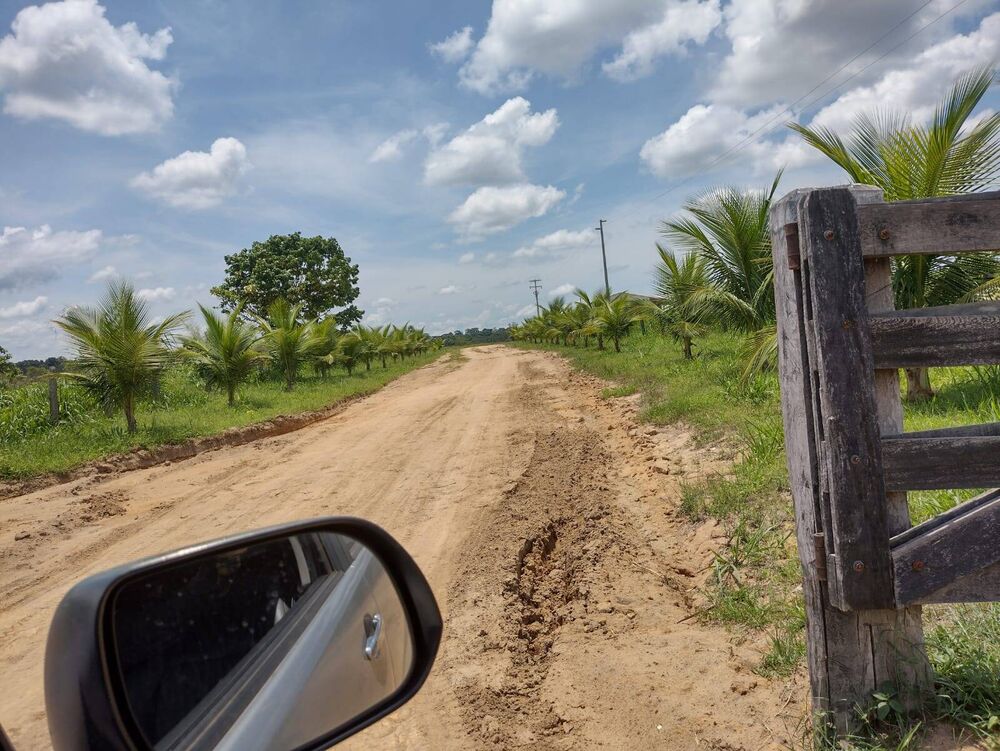 Terreno, 6000 m² - Foto 3