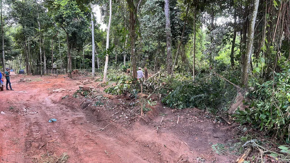 Terreno - Foto 1
