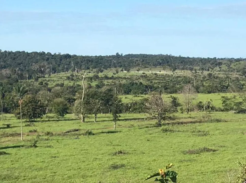 Terreno, 4450 m² - Foto 7