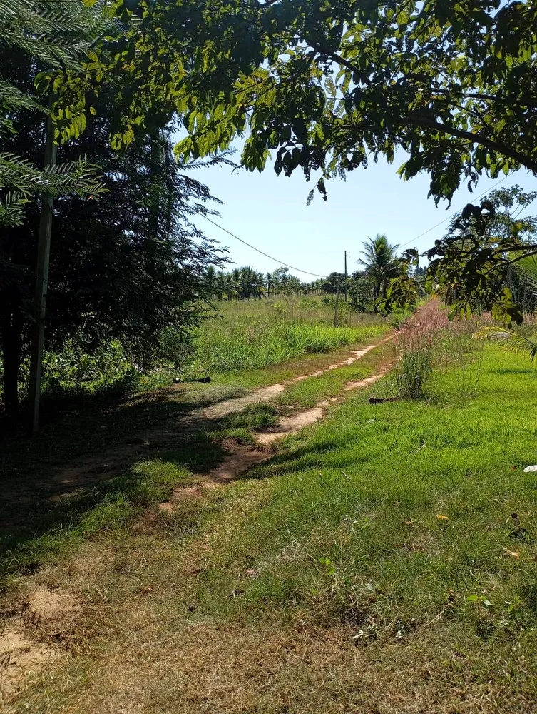 Terreno, 4 hectares - Foto 3