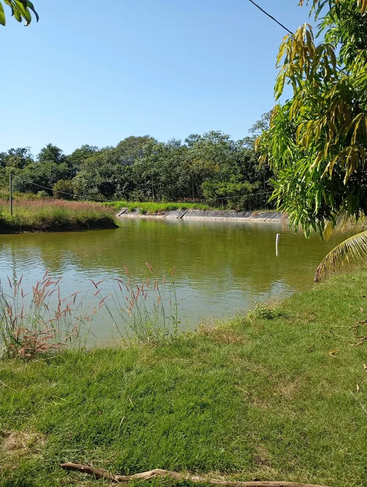 Terreno, 4 hectares - Foto 7