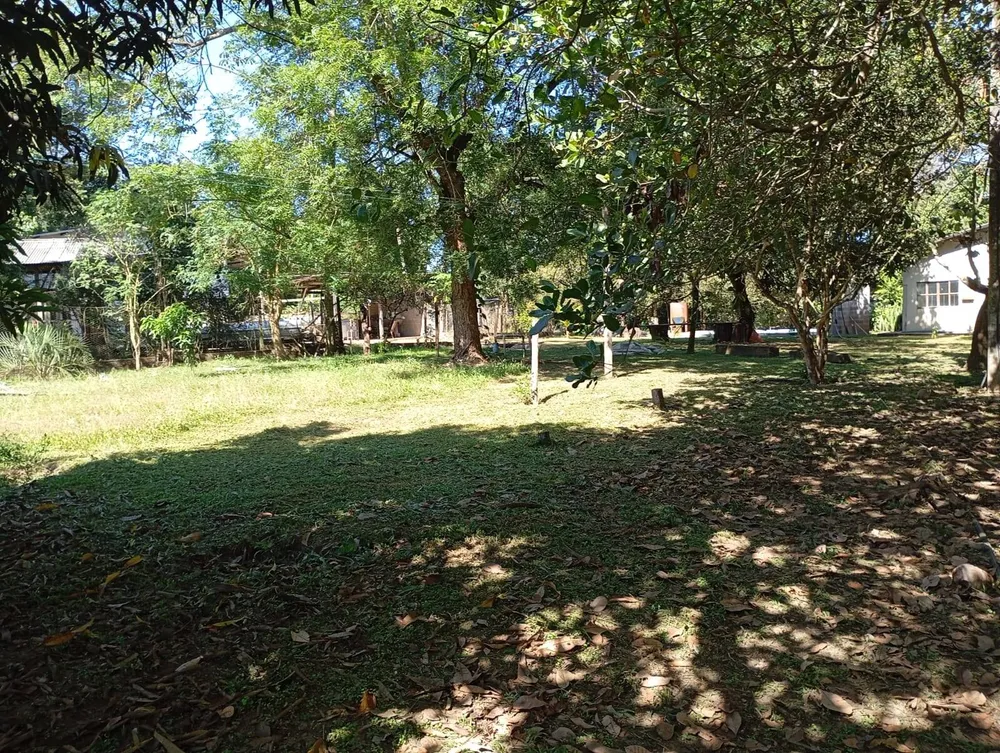 Terreno, 4 hectares - Foto 6