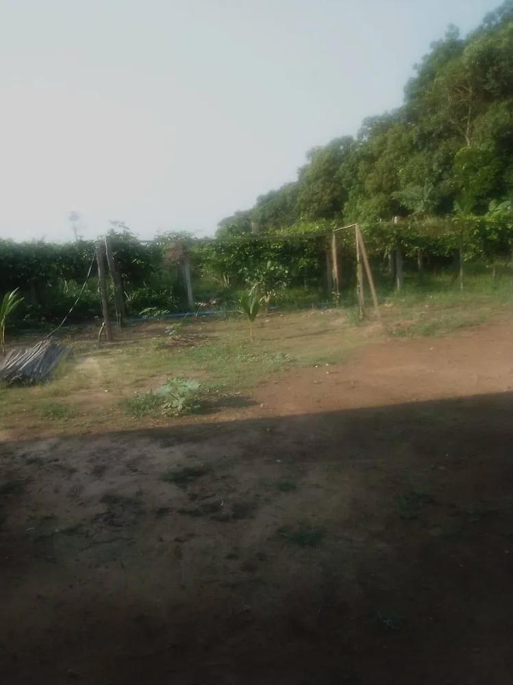 Terreno - Foto 1
