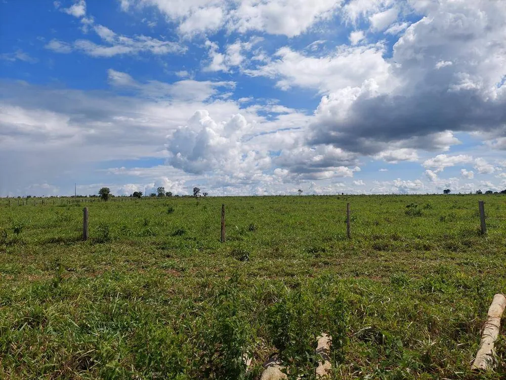 Terreno, 92 hectares - Foto 7