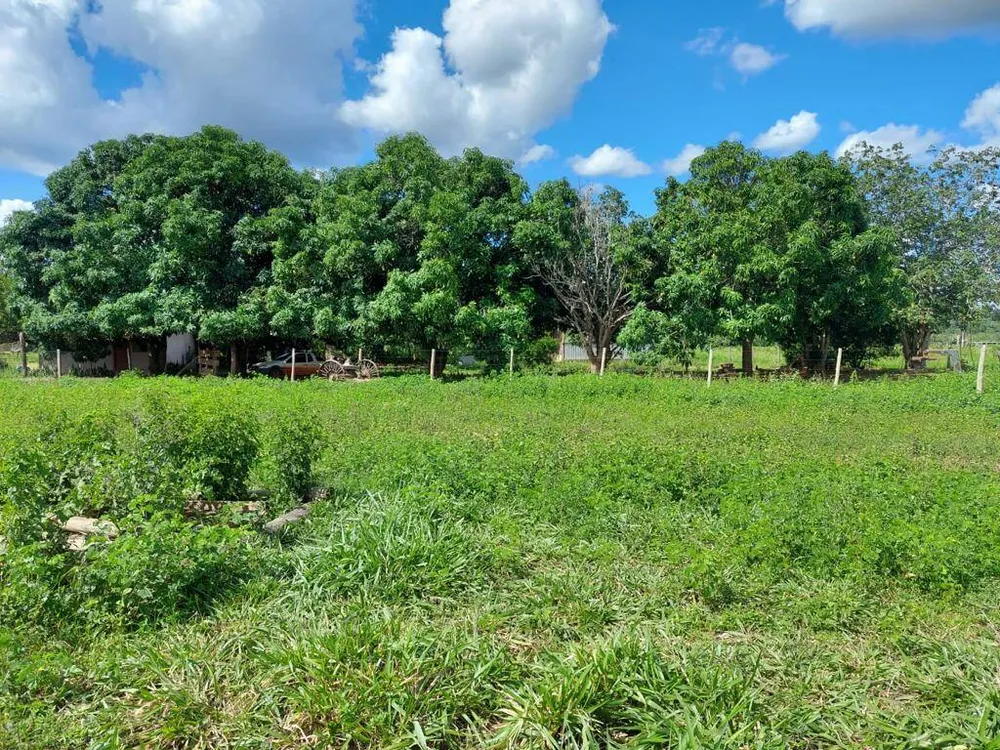 Terreno, 92 hectares - Foto 3