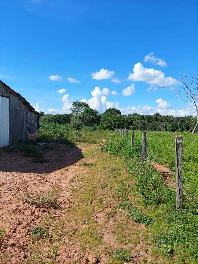 Terreno, 92 hectares - Foto 4