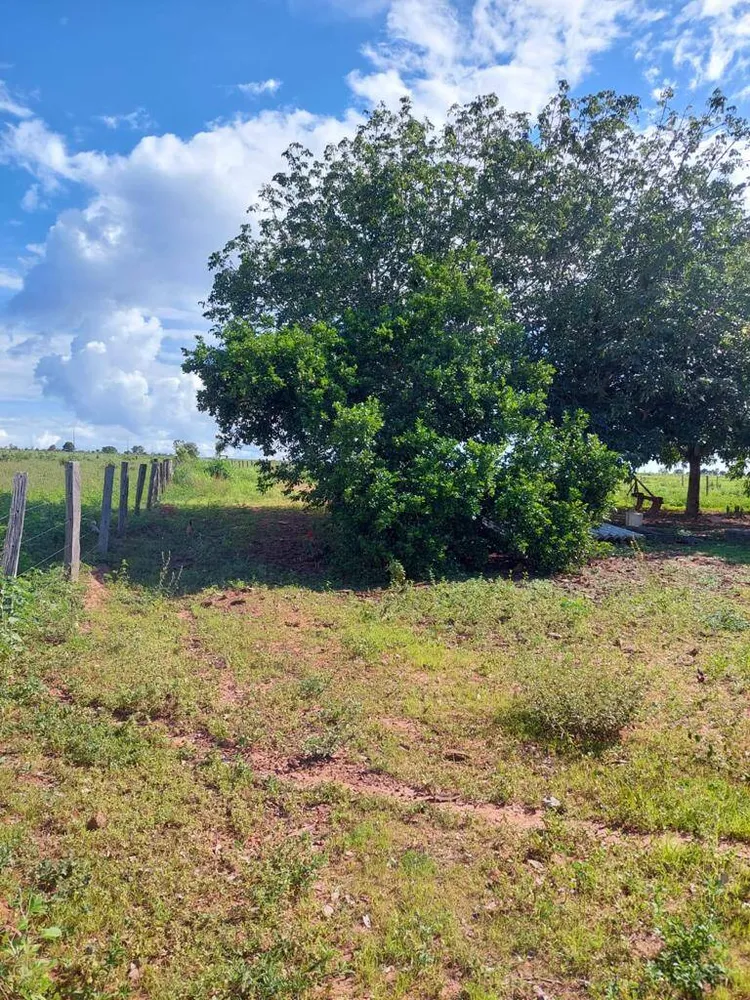 Terreno, 92 hectares - Foto 8