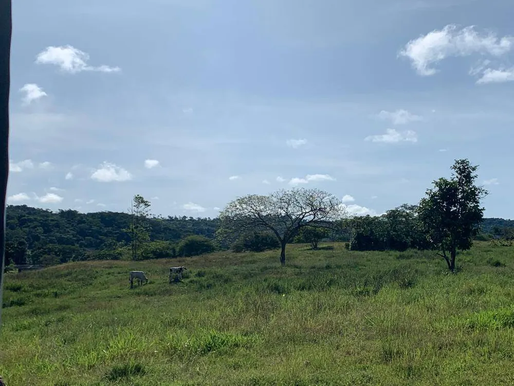 Sítio, 3 quartos, 1 hectares - Foto 7