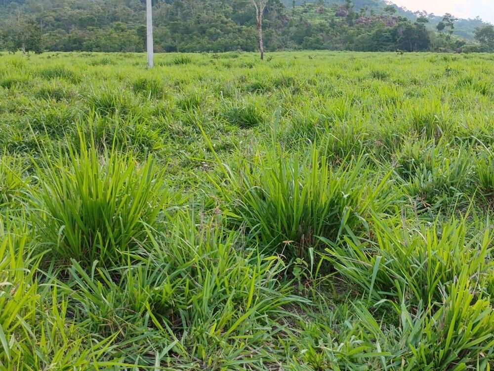 Terreno, 150 m² - Foto 18