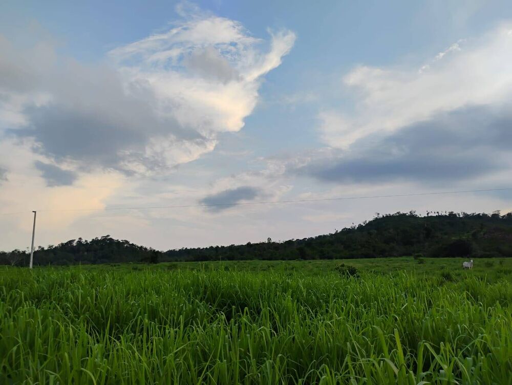 Terreno, 150 m² - Foto 16