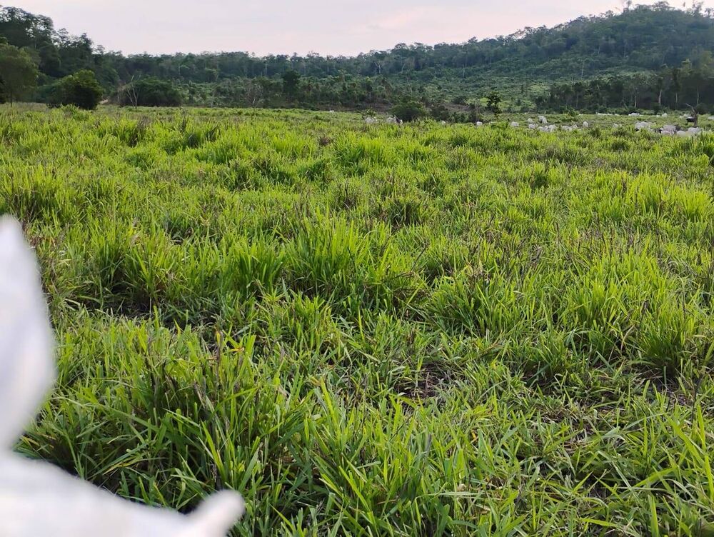 Terreno, 150 m² - Foto 20