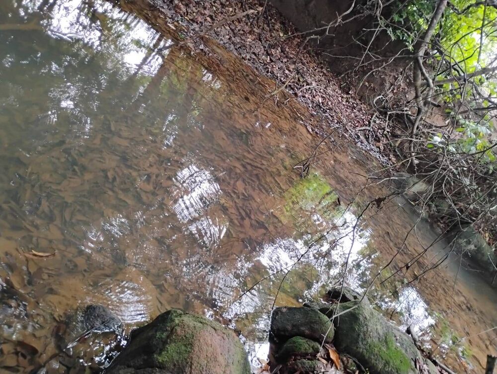 Terreno, 150 m² - Foto 21