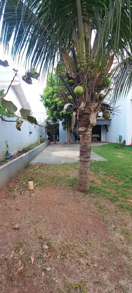 Loja-Salão, 330 m² - Foto 20