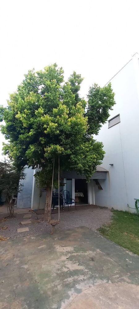 Loja-Salão, 330 m² - Foto 21