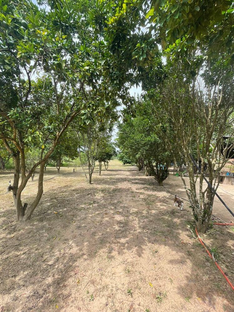 Terreno, 4700 m² - Foto 3