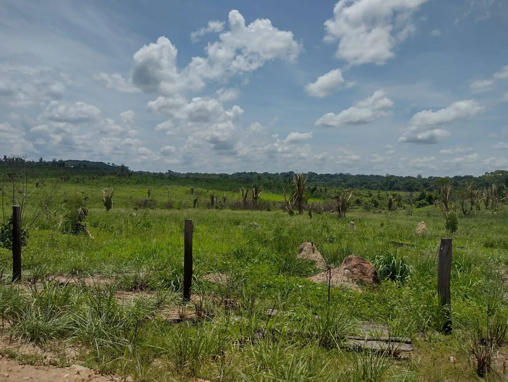 Terreno, 6000 m² - Foto 3