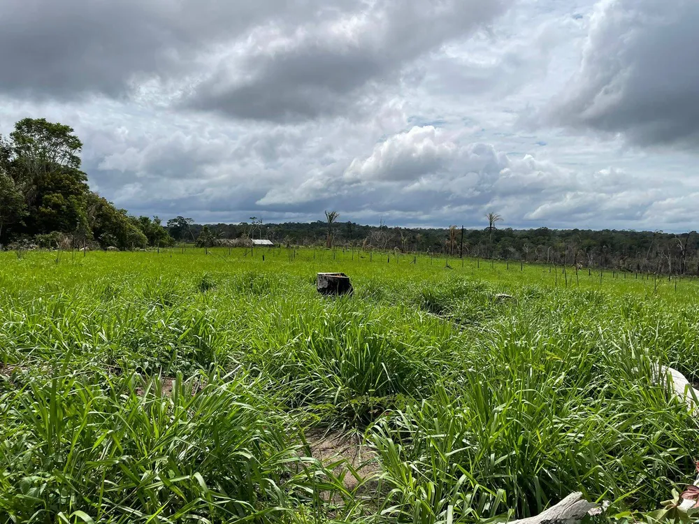 Terreno, 6000 m² - Foto 1