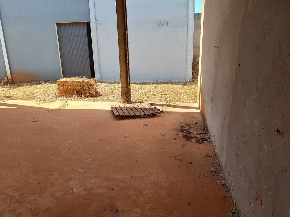 Prédio Inteiro, 748 m² - Foto 2