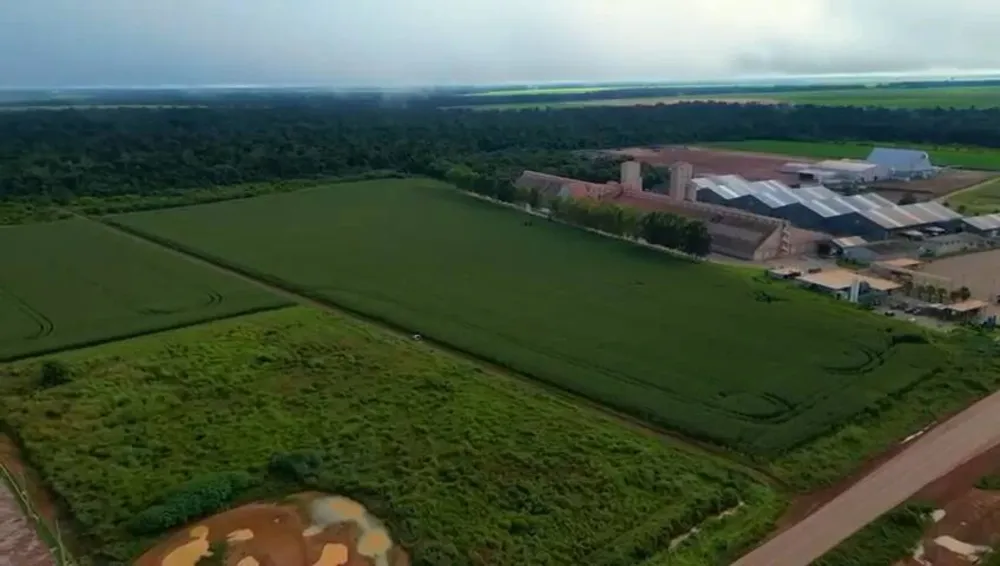 Terreno, 12 hectares - Foto 7