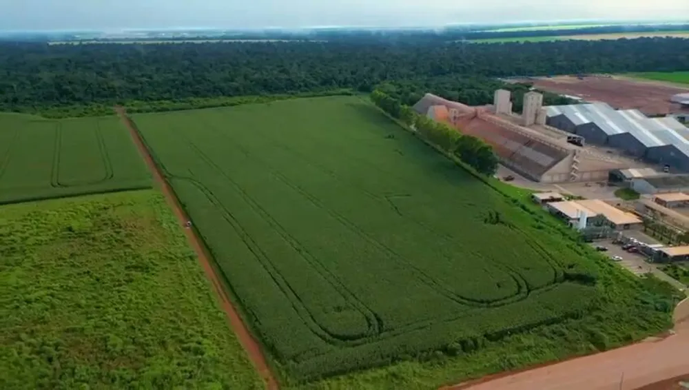Terreno, 12 hectares - Foto 6