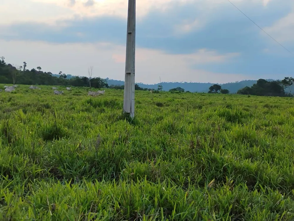 Terreno, 150 m² - Foto 9