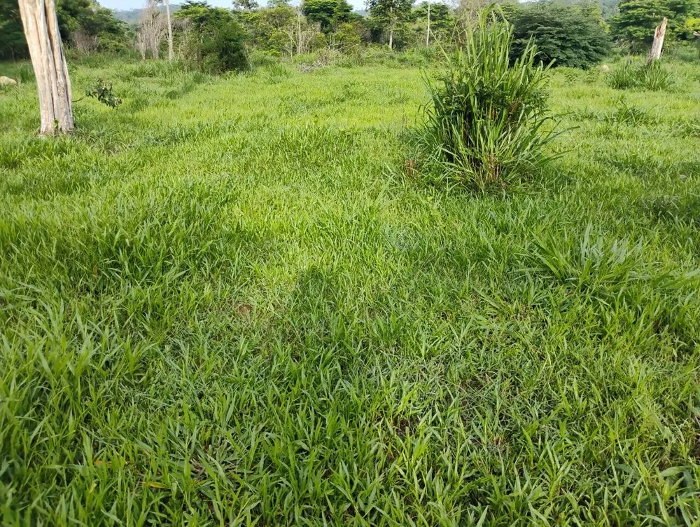 Terreno, 150 m² - Foto 5