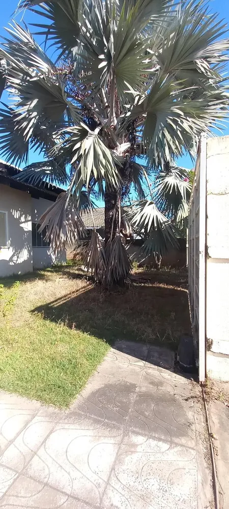 Casa, 3 quartos, 217 m² - Foto 5