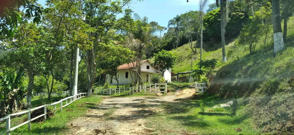 Sítio, 4 quartos, 600 m² - Foto 4