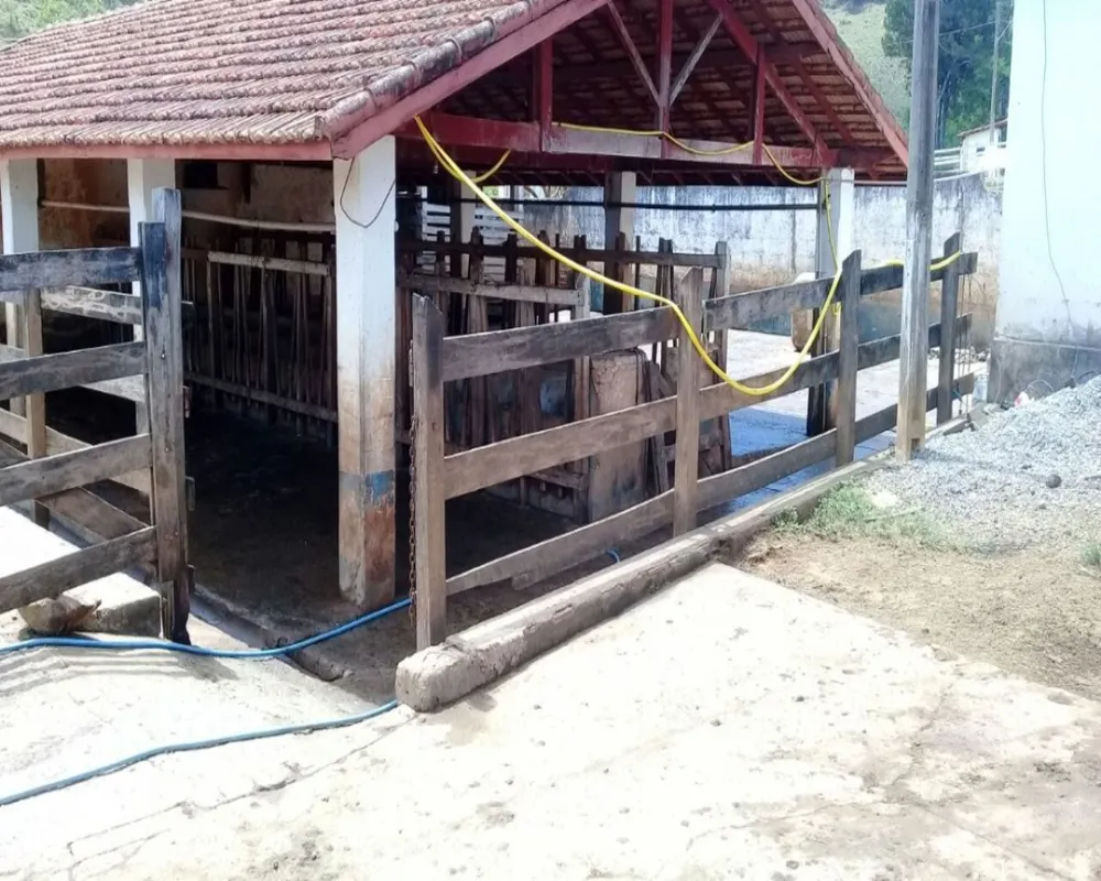 Fazenda, 3 quartos - Foto 4