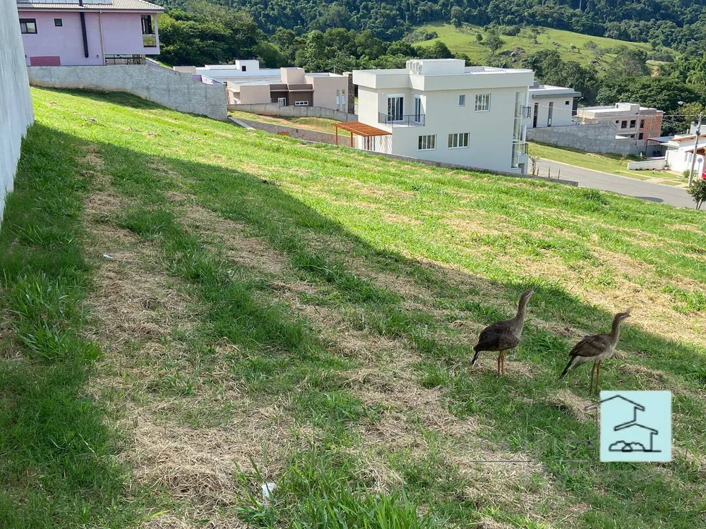 Terreno, 404 m² - Foto 2