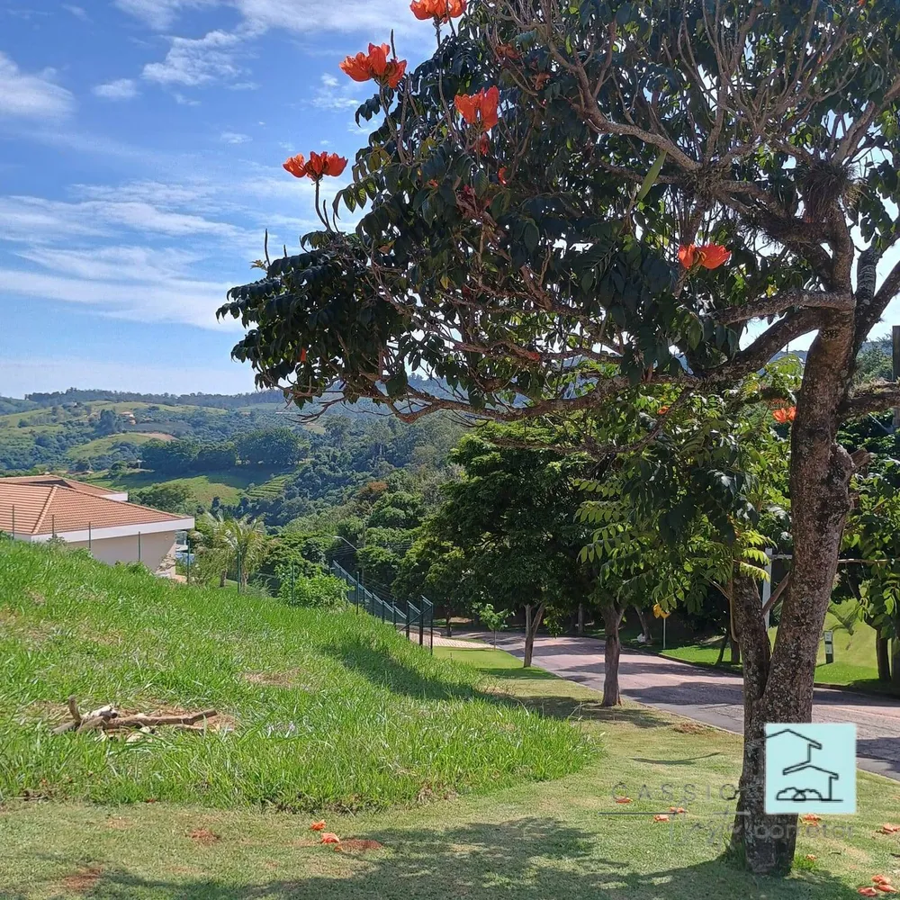 Terreno - Foto 1