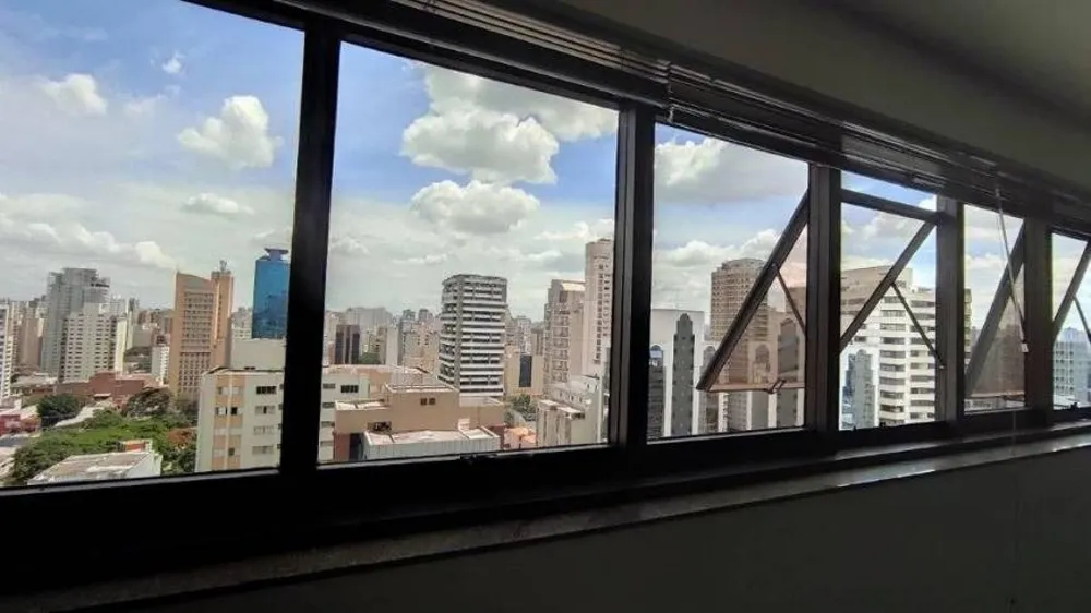 Sala-Conjunto, 310 m² - Foto 3