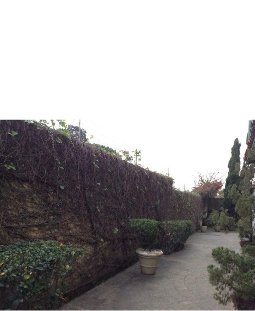 Casa, 5 quartos, 530 m² - Foto 11