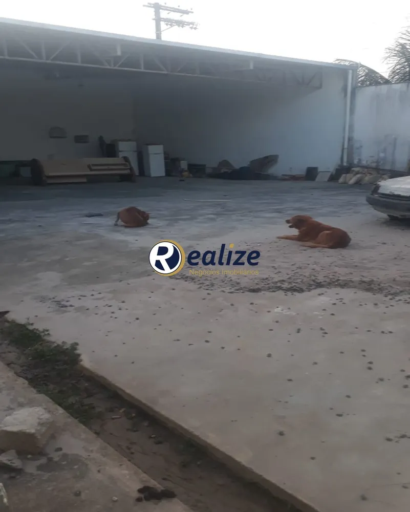 Depósito-Galpão, 300 m² - Foto 6