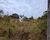Terreno, 560 m² - Foto 2