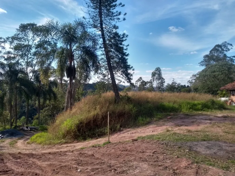 Terreno, 250 m² - Foto 1