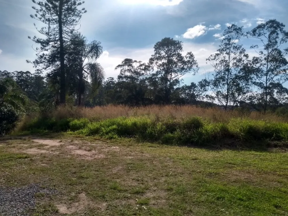 Terreno, 250 m² - Foto 3