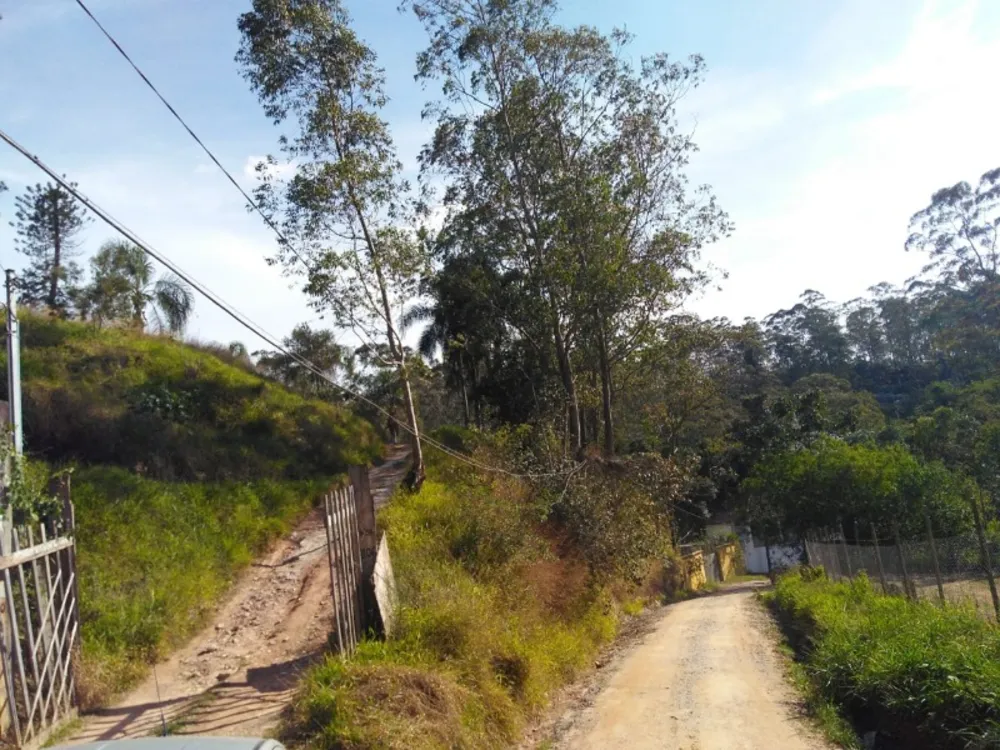 Terreno, 250 m² - Foto 4