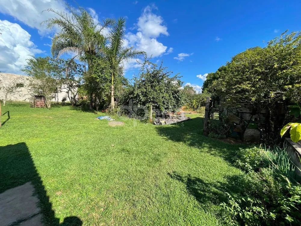 Chácara, 4 quartos, 5061 m² - Foto 6