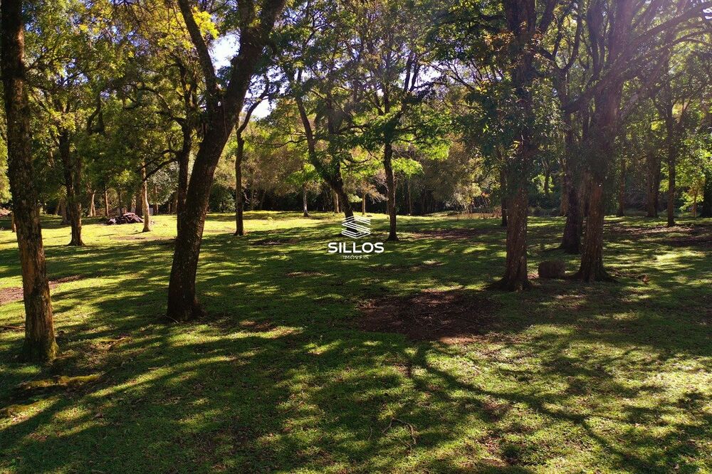 Chácara à venda com 2 quartos, 90m² - Foto 5