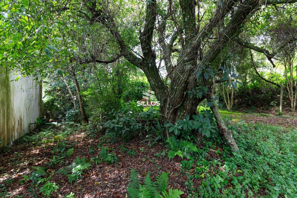 Casa, 3 quartos, 210 m² - Foto 14