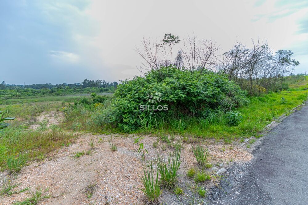 Terreno à venda, 5038 - Foto 4