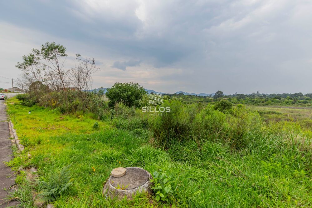 Terreno à venda, 5038 - Foto 5