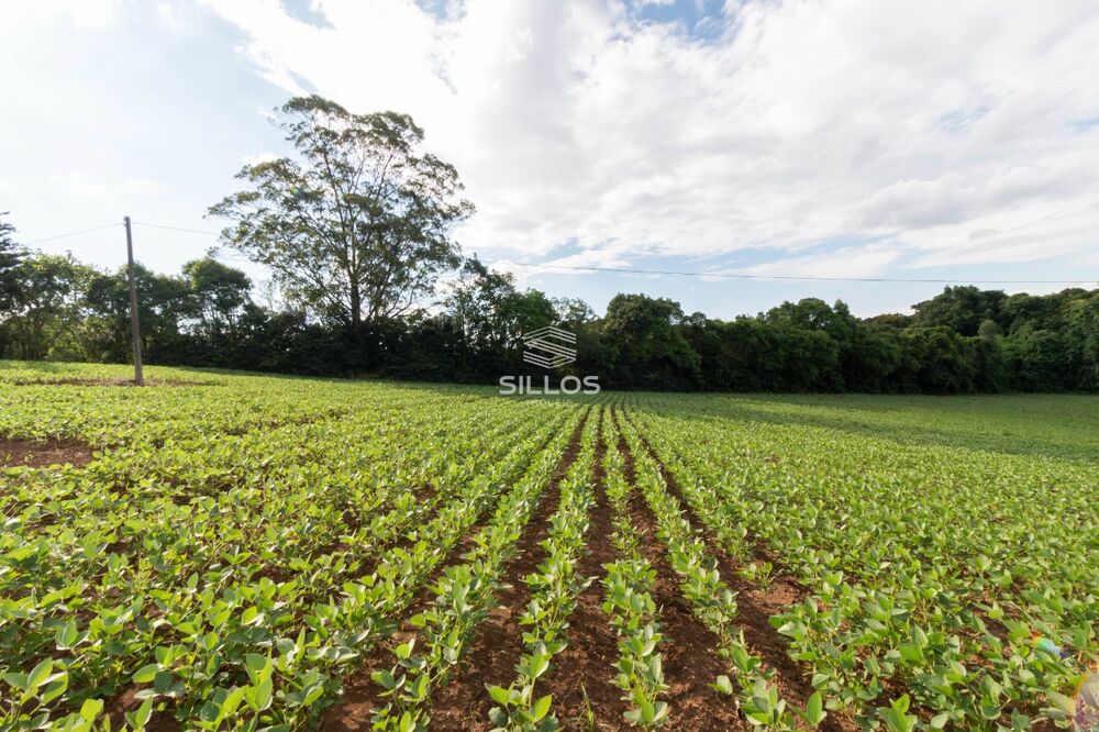 Chácara à venda com 1 quarto, 64931 - Foto 17