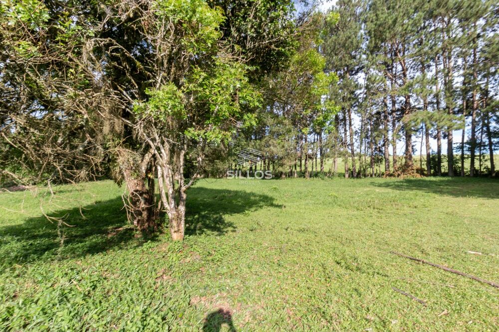 Chácara à venda com 1 quarto, 64931 - Foto 21