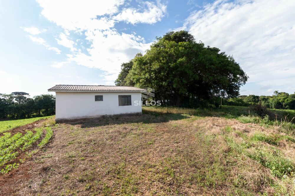 Chácara à venda com 1 quarto, 64931 - Foto 13