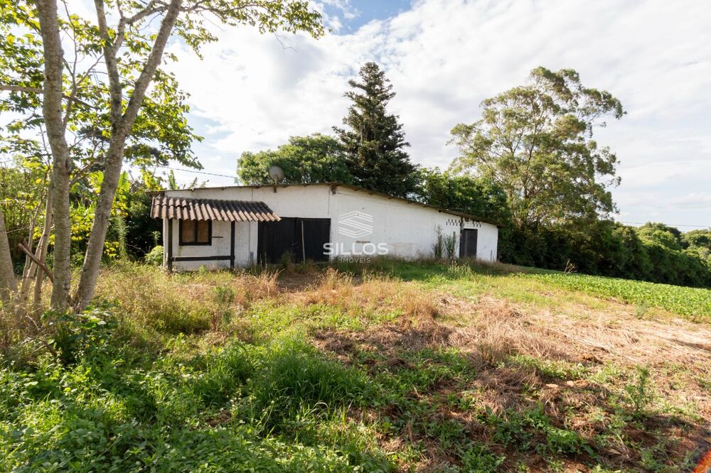 Chácara à venda com 1 quarto, 64931 - Foto 15