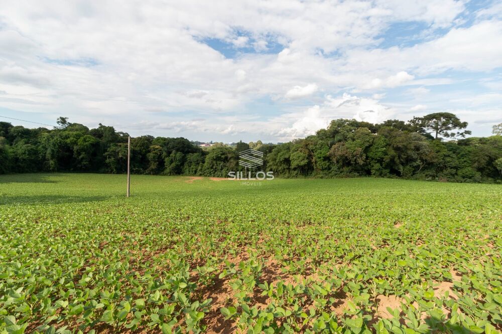 Chácara à venda com 1 quarto, 64931 - Foto 16