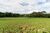 Chácara, 1 quarto, 6 hectares - Foto 16